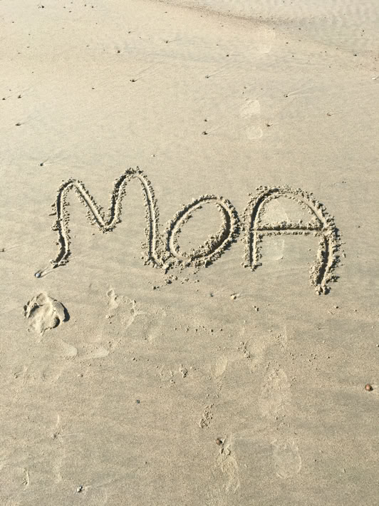 Kerstin Moa Brix ist Sängerin, Seelensängerin, Aufstellerin und Dialogprozessbegleiterin