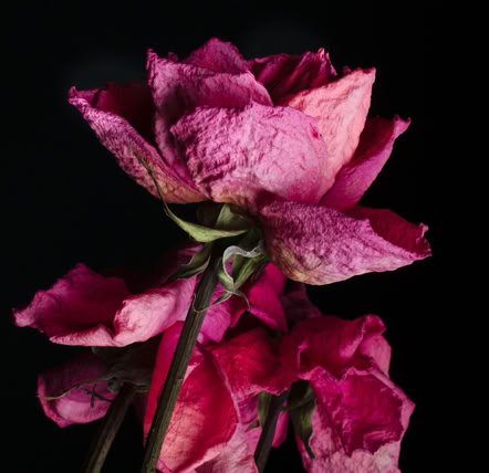 Seelenklang ist eine Reise zu Deiner Klarheit